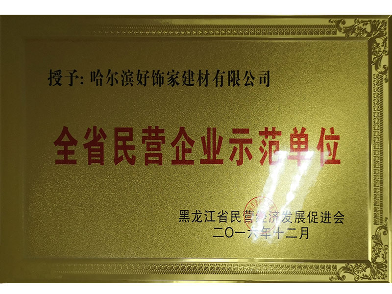 全省民營企業(yè)示范單位